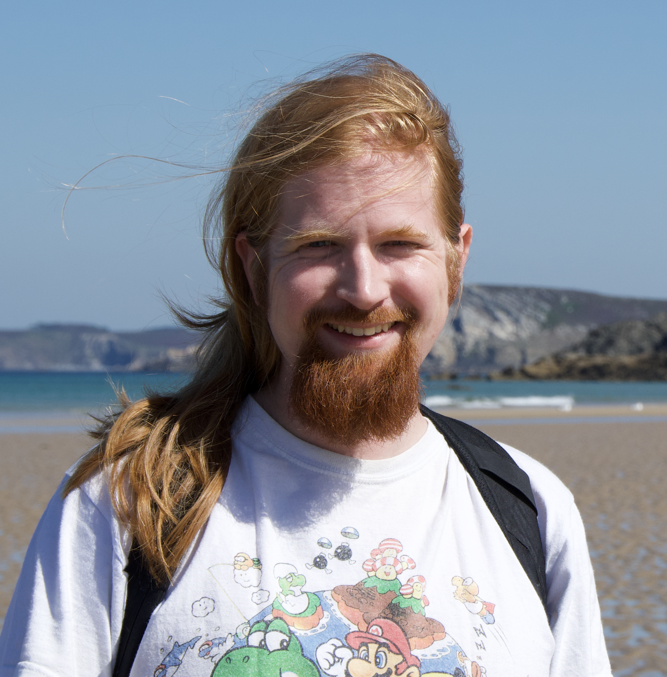 Leif's profile photo. He has long red hair and a big bushy beard, and is smiling into the camera. Behind him, out of focus, is a beach and some mountains, and on his white t-shirt you can see a glimpse of a variety of Nintendo characters.
